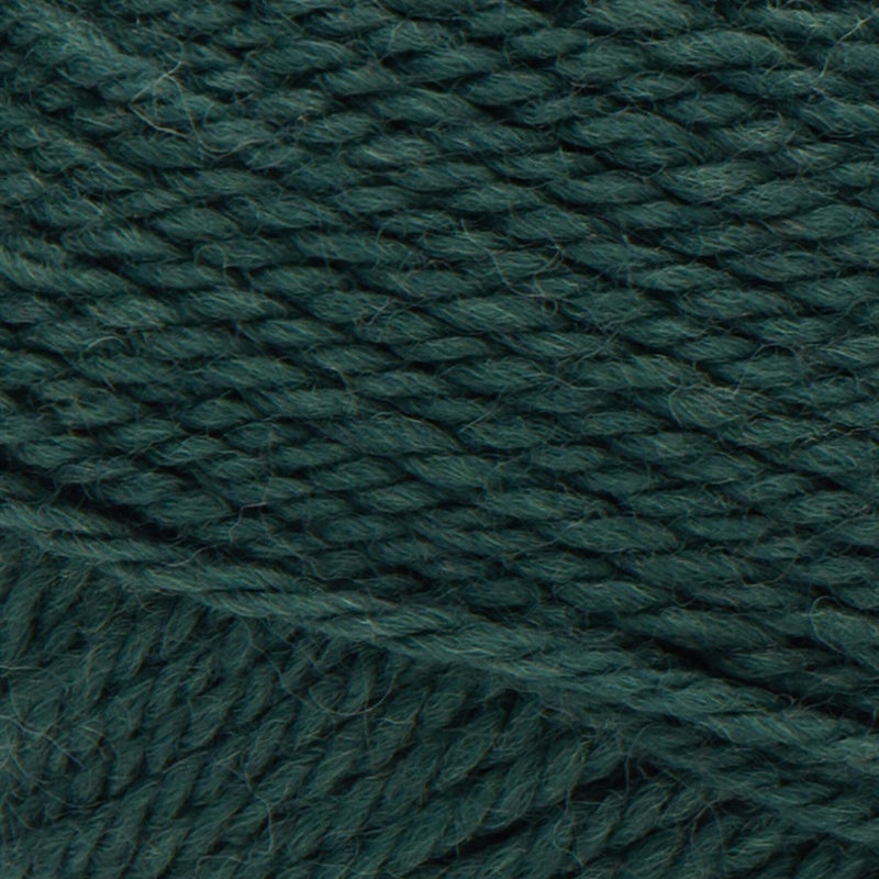 Patons Classic Wool Yarn, Pine - Image 2